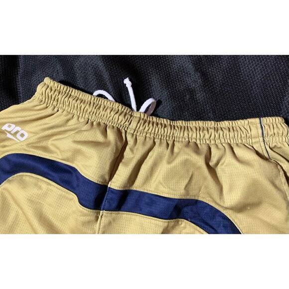 UPJ LAX Mountain Cats PITT-Johnstown PA PRO Basketball Ladies Womens Shorts Sz L - Picture 5 of 14